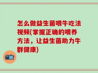 怎么做益生菌喂牛吃法视频(掌握正确的喂养方法，让益生菌助力牛群健康)
