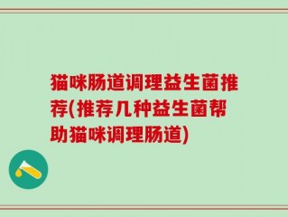 猫咪肠道调理益生菌推荐(推荐几种益生菌帮助猫咪调理肠道)