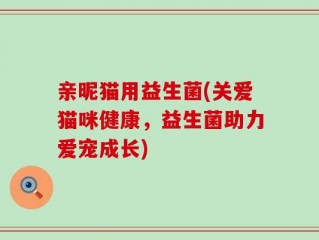 亲昵猫用益生菌(关爱猫咪健康，益生菌助力爱宠成长)