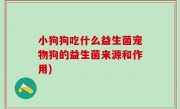 小狗狗吃什么益生菌宠物狗的益生菌来源和作用)