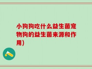 小狗狗吃什么益生菌宠物狗的益生菌来源和作用)
