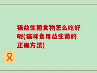 猫益生菌食物怎么吃好呢(猫咪食用益生菌的正确方法)
