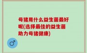 母猪用什么益生菌最好呢(选择最佳的益生菌助力母猪健康)