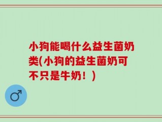 小狗能喝什么益生菌奶类(小狗的益生菌奶可不只是牛奶！)