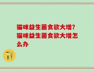 猫咪益生菌食欲大增？猫咪益生菌食欲大增怎么办