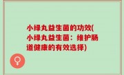 小绿丸益生菌的功效(小绿丸益生菌：维护肠道健康的有效选择)