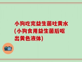 小狗吃完益生菌吐黄水(小狗食用益生菌后呕出黄色液体)