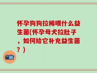 怀孕狗狗拉稀喂什么益生菌(怀孕母犬拉肚子，如何给它补充益生菌？)