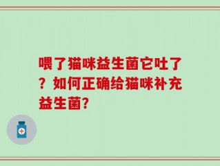 喂了猫咪益生菌它吐了？如何正确给猫咪补充益生菌？