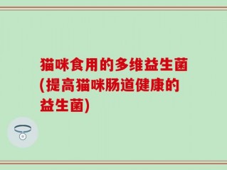 猫咪食用的多维益生菌(提高猫咪肠道健康的益生菌)