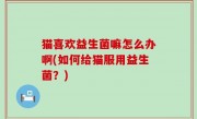 猫喜欢益生菌嘛怎么办啊(如何给猫服用益生菌？)