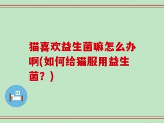 猫喜欢益生菌嘛怎么办啊(如何给猫服用益生菌？)