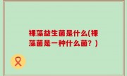 裸藻益生菌是什么(裸藻菌是一种什么菌？)