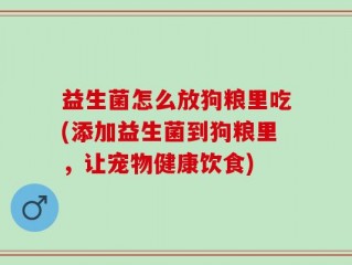益生菌怎么放狗粮里吃(添加益生菌到狗粮里，让宠物健康饮食)