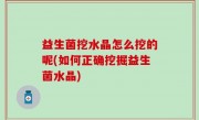 益生菌挖水晶怎么挖的呢(如何正确挖掘益生菌水晶)