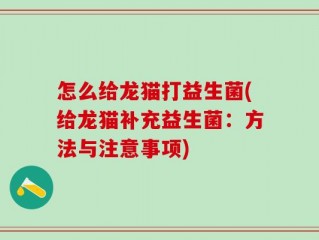 怎么给龙猫打益生菌(给龙猫补充益生菌：方法与注意事项)