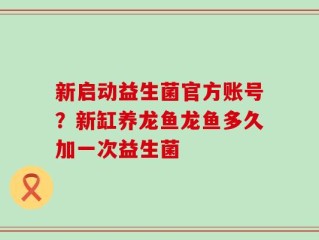 新启动益生菌官方账号？新缸养龙鱼龙鱼多久加一次益生菌