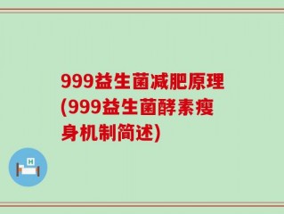 999益生菌减肥原理(999益生菌酵素瘦身机制简述)