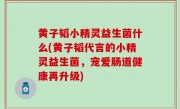 黄子韬小精灵益生菌什么(黄子韬代言的小精灵益生菌，宠爱肠道健康再升级)
