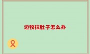 边牧拉肚子怎么办