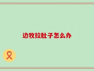 边牧拉肚子怎么办