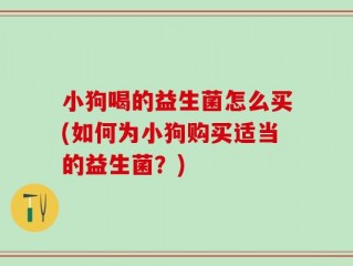 小狗喝的益生菌怎么买(如何为小狗购买适当的益生菌？)