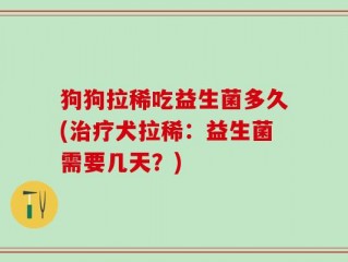 狗狗拉稀吃益生菌多久(治疗犬拉稀：益生菌需要几天？)