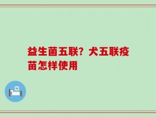益生菌五联？犬五联疫苗怎样使用