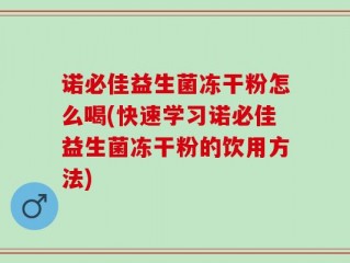 诺必佳益生菌冻干粉怎么喝(快速学习诺必佳益生菌冻干粉的饮用方法)