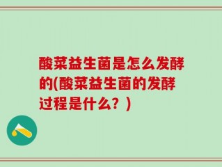 酸菜益生菌是怎么发酵的(酸菜益生菌的发酵过程是什么？)