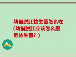 幼猫脱肛益生菌怎么吃(幼猫脱肛应该怎么服用益生菌？)