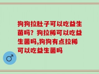 狗狗拉肚子可以吃益生菌吗？狗拉稀可以吃益生菌吗,狗狗有点拉稀可以吃益生菌吗