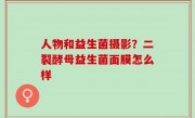 人物和益生菌摄影？二裂酵母益生菌面膜怎么样