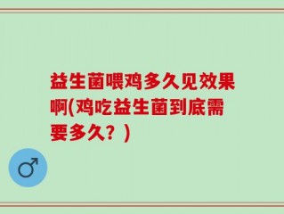 益生菌喂鸡多久见效果啊(鸡吃益生菌到底需要多久？)