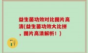 益生菌功效对比图片高清(益生菌功效大比拼，图片高清解析！)
