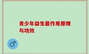 青少年益生菌作用原理与功效