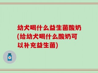 幼犬喝什么益生菌酸奶(给幼犬喝什么酸奶可以补充益生菌)
