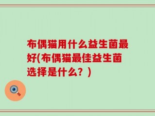 布偶猫用什么益生菌最好(布偶猫最佳益生菌选择是什么？)