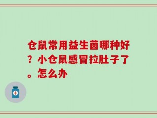 仓鼠常用益生菌哪种好？小仓鼠感冒拉肚子了。怎么办