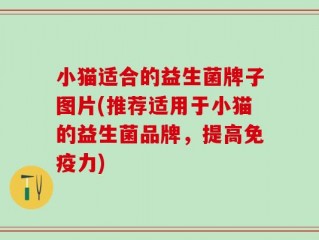 小猫适合的益生菌牌子图片(推荐适用于小猫的益生菌品牌，提高免疫力)