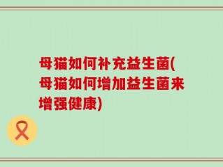 母猫如何补充益生菌(母猫如何增加益生菌来增强健康)