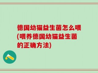 德国幼猫益生菌怎么喂(喂养德国幼猫益生菌的正确方法)