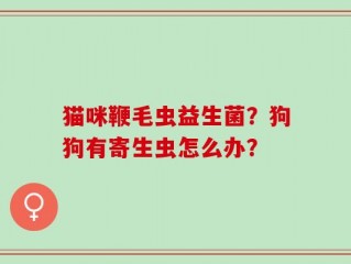 猫咪鞭毛虫益生菌？狗狗有寄生虫怎么办？