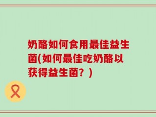 奶酪如何食用最佳益生菌(如何最佳吃奶酪以获得益生菌？)