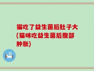 猫吃了益生菌后肚子大(猫咪吃益生菌后腹部肿胀)