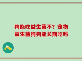狗能吃益生菌不？宠物益生菌狗狗能长期吃吗