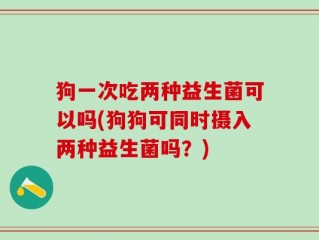 狗一次吃两种益生菌可以吗(狗狗可同时摄入两种益生菌吗？)