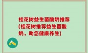 桂花树益生菌酸奶推荐(桂花树推荐益生菌酸奶，助您健康养生)
