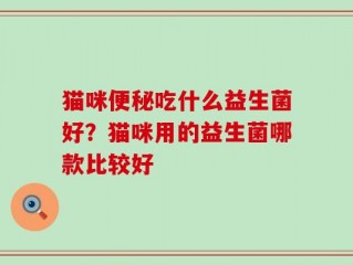 猫咪便秘吃什么益生菌好？猫咪用的益生菌哪款比较好