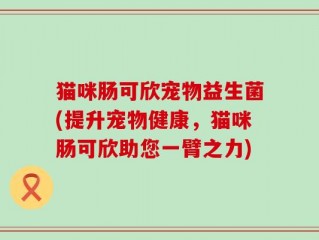 猫咪肠可欣宠物益生菌(提升宠物健康，猫咪肠可欣助您一臂之力)